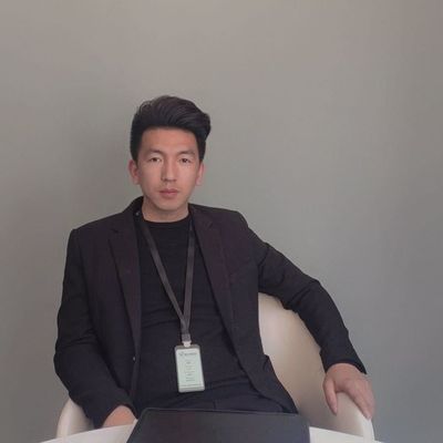 平顶山蒲公英装饰春春