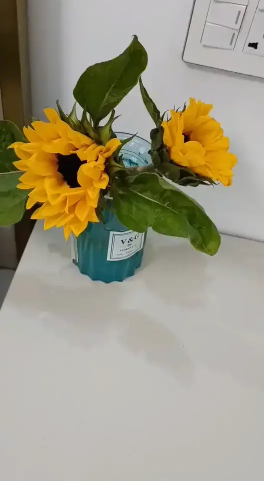 单色窗帘，用轨道实用