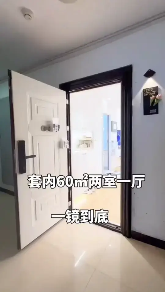 套内60平两室一厅设计
