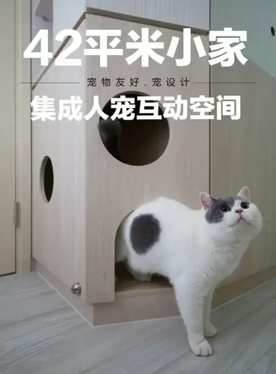 宠物友好设计
