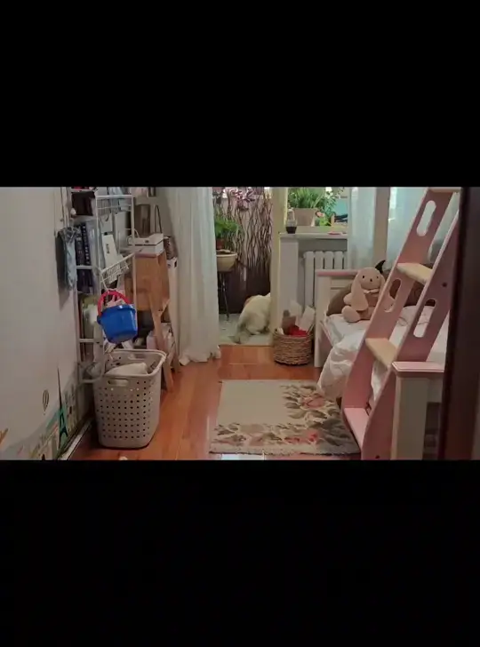 热闹过后～