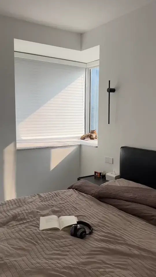 两人一🐱 六十平小家满足又幸福