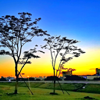 设计空间 