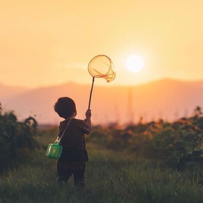 丁可乐🏠（软装中）