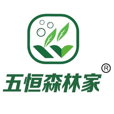 五恒森林家文文