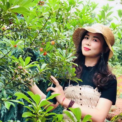 玛琳菲