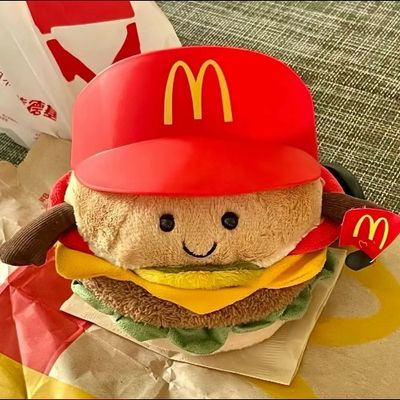 大丸崽的家装分享