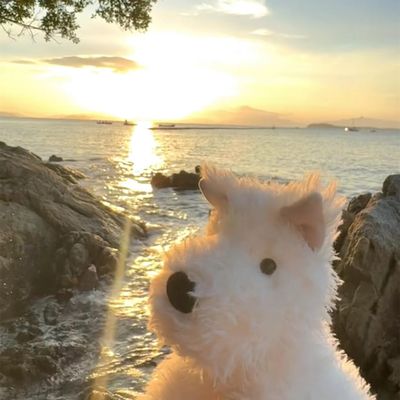 小满的家装日记