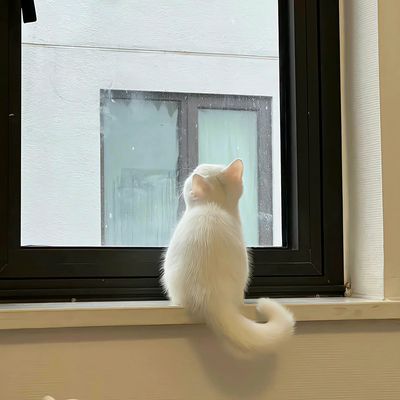 土拨鼠温暖小家