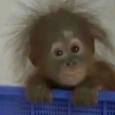 睡着做个好梦